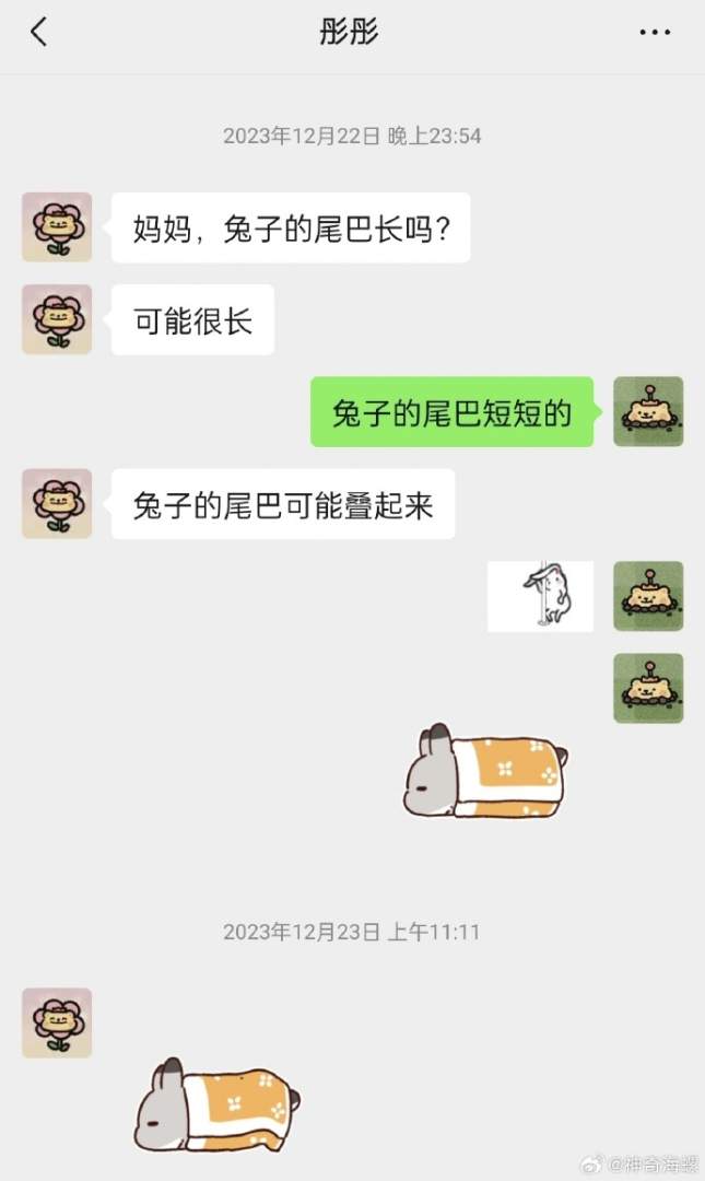 Word文档图片