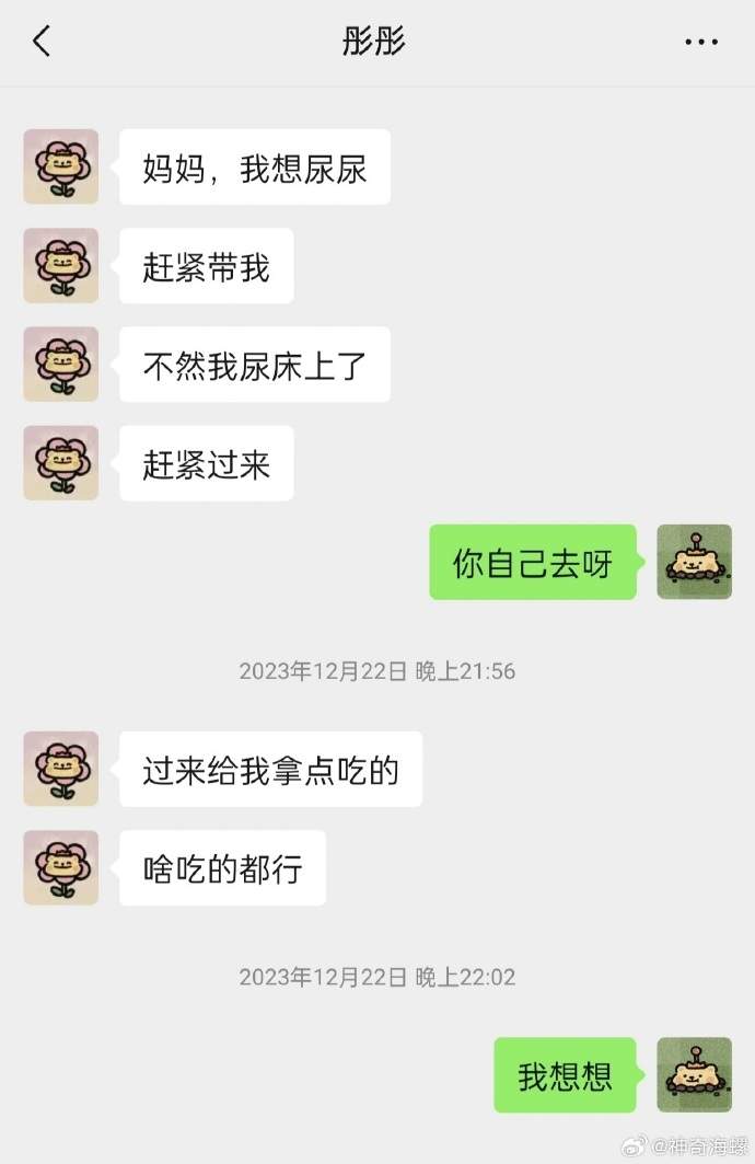 Word文档图片